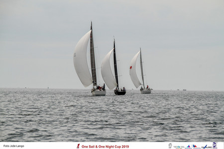 i IMG_2823 s.jpg